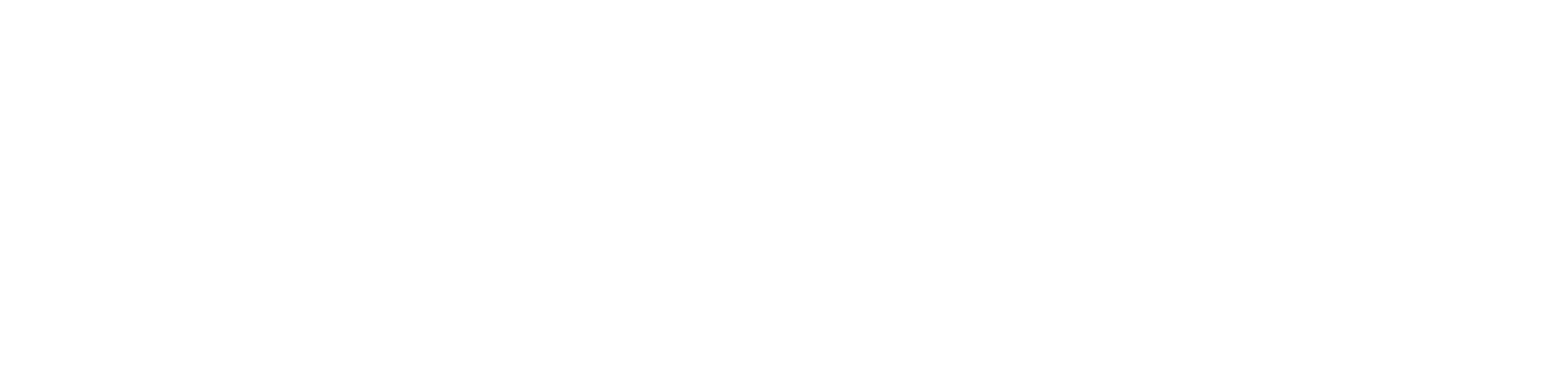 NEMESIS